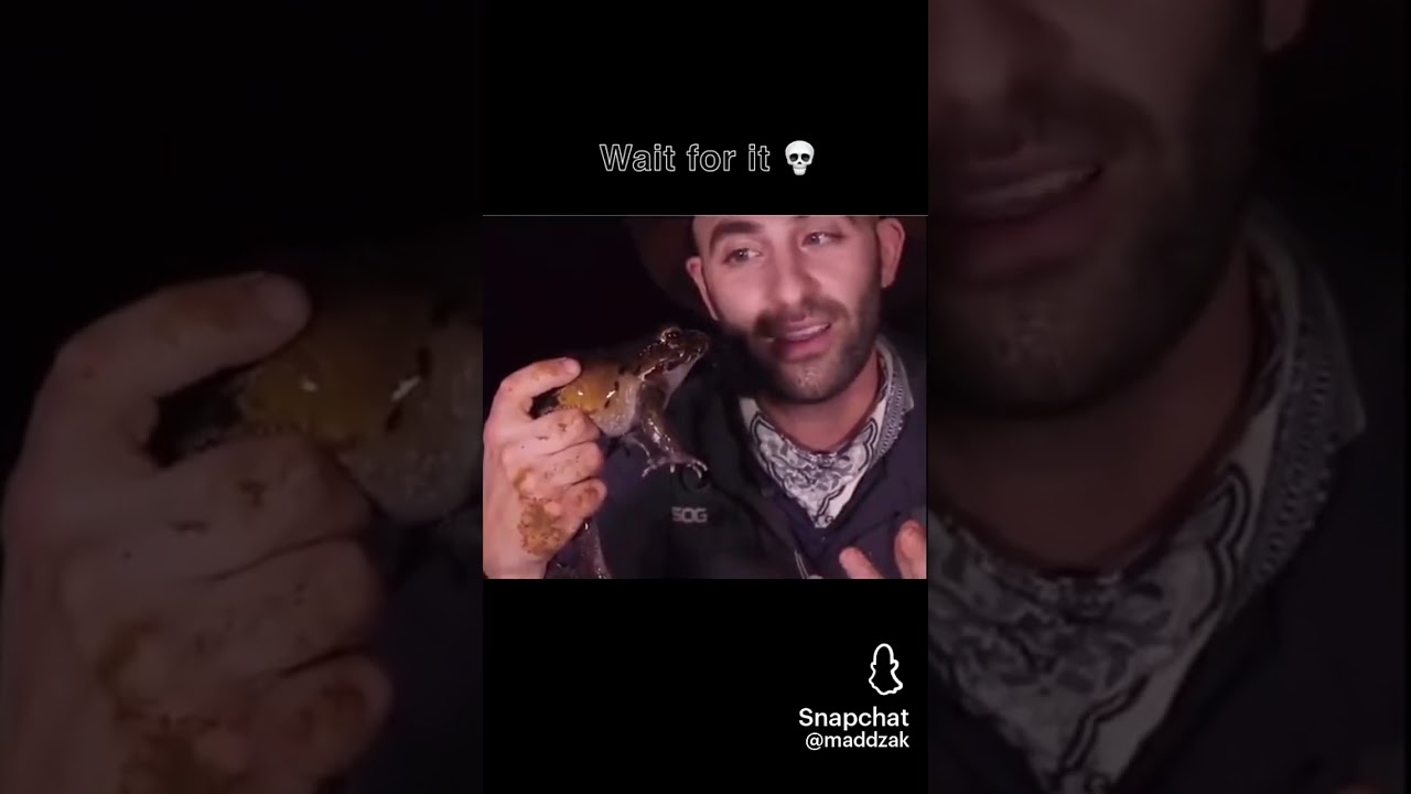 Have you not figured that you already got captured 