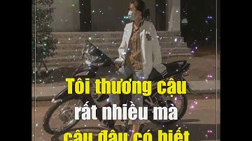 Share sóng nhạc hoa rơi 7 màu cực đẹp giống ộp 2005 Thành Luân Remix