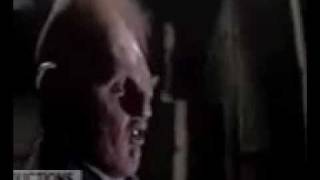 Sloth eats baby ruth