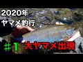 【本流】宮崎県 本流大ヤマメを狙ってみた！