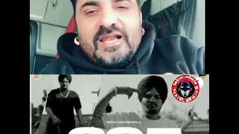 295 Song Fans Reaction Videos | #295songreaction #sidhumoosewala #295
