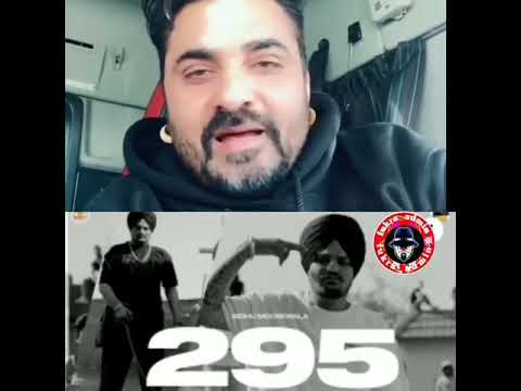 295 Song Fans Reaction Videos | #295songreaction #sidhumoosewala #295