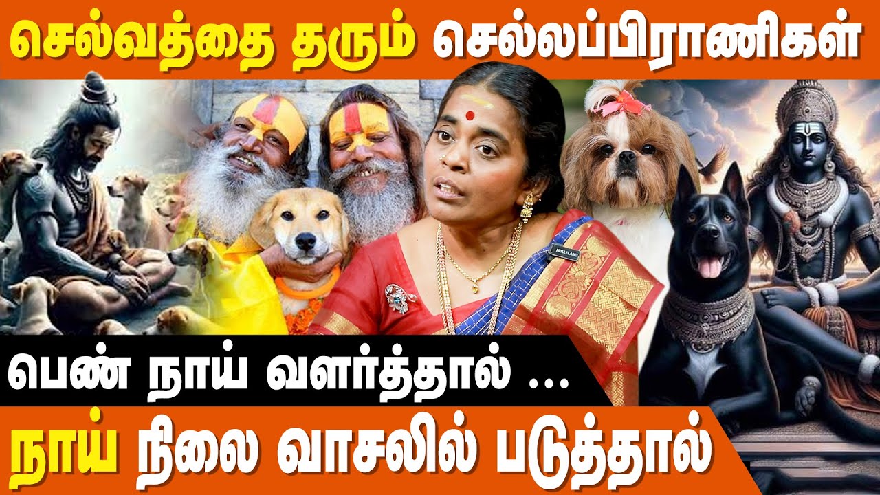 சித்தர்களை தெய்வங்களை அடையாளம் காட்டும் நாய்கள்  - Jothidar Jayanthi Ravi | Lucky Pets For Home