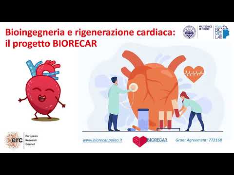 Video: Ingegneria Del Tessuto Cardiaco: Metodi E Prospettive All'avanguardia
