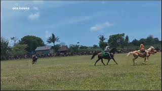 Pasola Homba Kalayo Kodi Bangedo pasola budaya sumba ntt indonesia