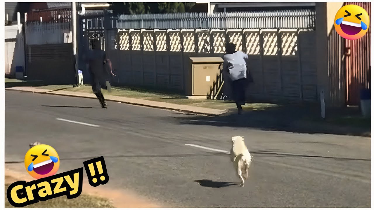 أطرف مقاطع الشهر #89 - حياة أشخاص مضحكة حاول ألا تضحك 😂🤣🔥