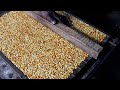 Peanut &amp; Sesame Burfi Manufacturing Complete Process in Food Factory