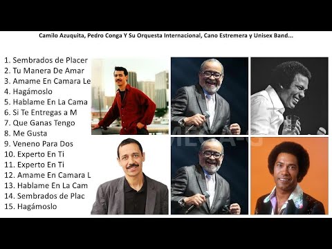 SALSA DE ALCOBA