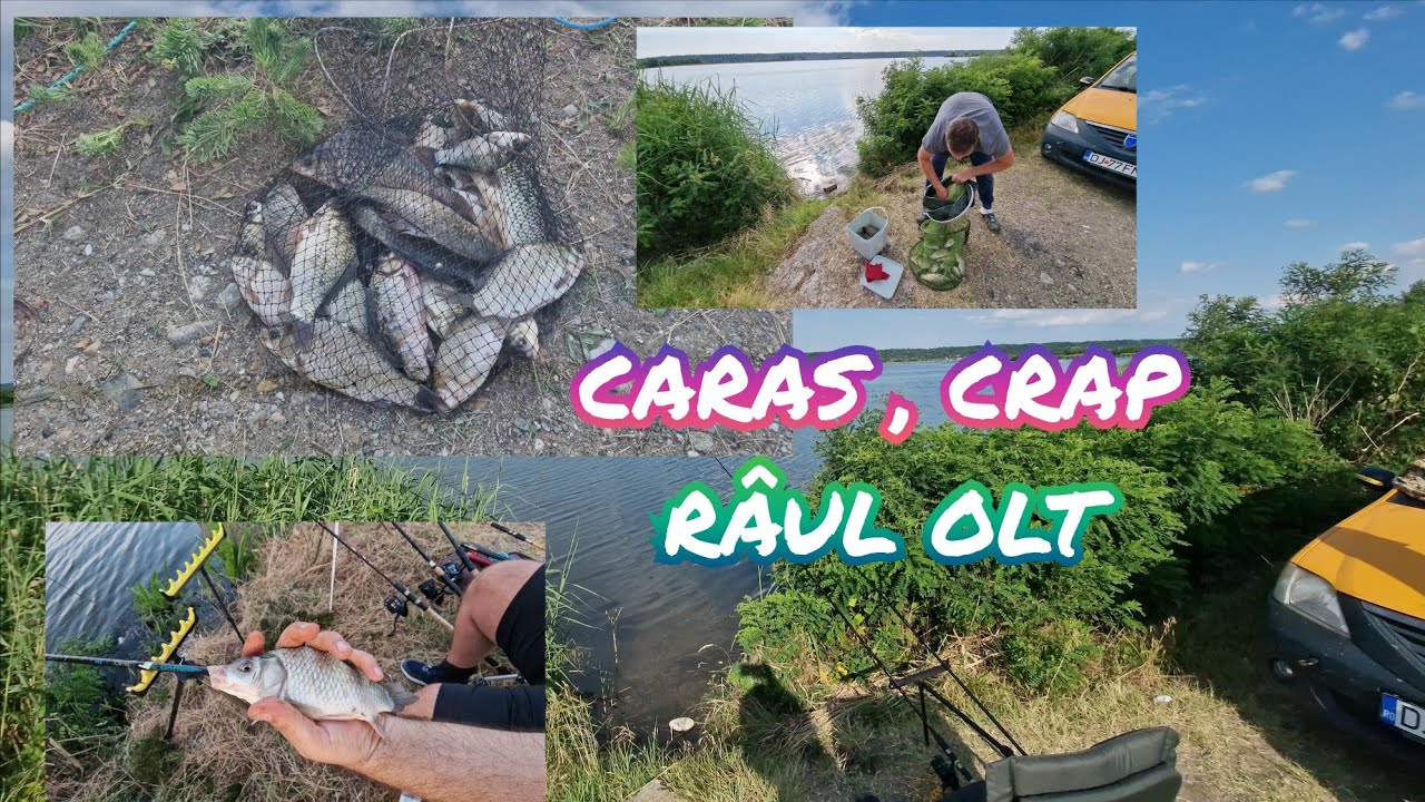 OLT CARAS SI CRAP PE ZONA ASTA 01/07/2025 METHOD FEEDER NADA CARE CHIAR PRINDE PE SALBATIC