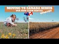 🌻 We moved to our rental house 🇨🇦 Moving abroad from Australia to Canada Visa process #canada #visa