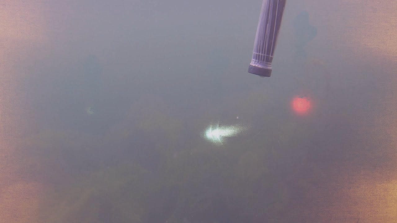 PARIS IMMERGÉE - LIBRIO - Cité internationale des arts / N38E13