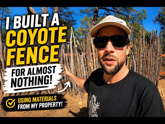 I Built a Cheap Coyote Fence Using Materials From My Property