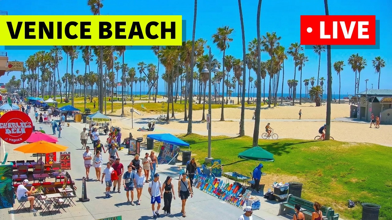 🔴 Los Angeles Live Cam · Venice Beach · Venice V Hotel · Live Camera Stream