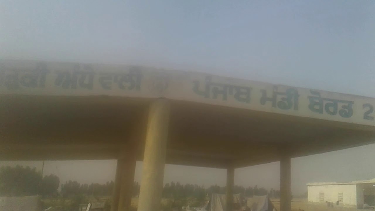 Punjab mandi board ( Fazilka
