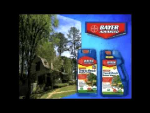 Video: Hur använder du Bayer Advanced insektdödare?