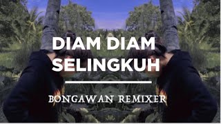 BONGAWAN REMIXER - Diam Diam Selingkuh Remix