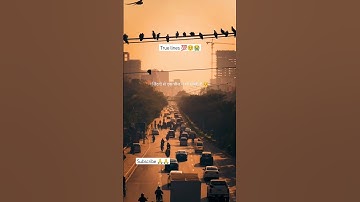 जिंदगी से एक चीज ये भी सीखी है 🥺 चाहे जितनी तकलीफ 😭,#urdupoetry #sadpoetry #heartbroken #ytshayeri