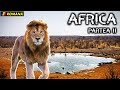 AFRICA 4x4  partea a 2-a. (Africa de Sud, Namibia, Botswana, Zambia, Zimbabwe) - tradus din engleză