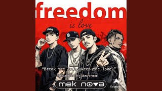 freedoom : funky hitting mixes