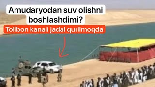 Tolibon kanali Amudaryodan suv olishni boshladimi?