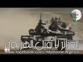 الجزائر لا تقبل الهزيمة YouTube 