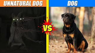 Unnatural Dog vs Dog | SPORE