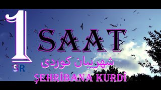 شهریبان کوردی Şehrîbana Kurdî - Kürtçe En Güzel Ve Seçme Şarkılar Official Music Video