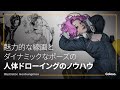 イラストレーター ホ・ソンム