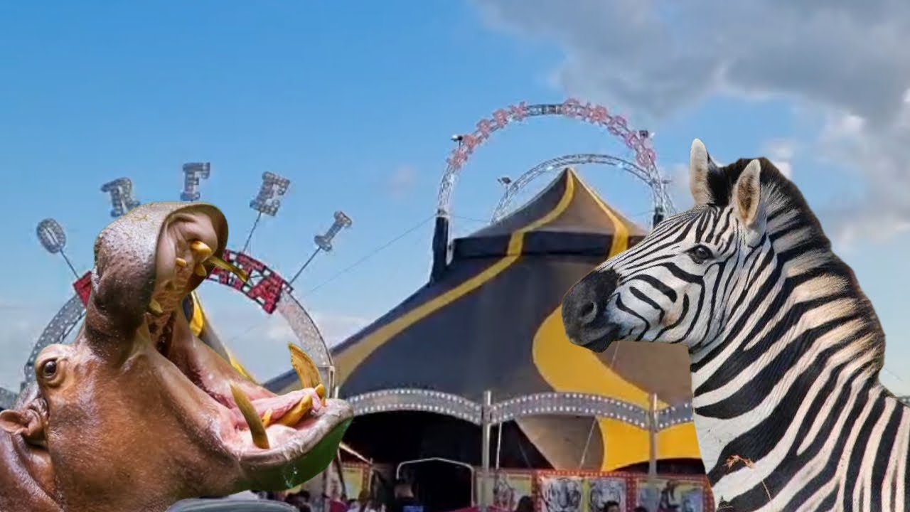 Gli esterni e lo Zoo del Circo Donna Orfei Happy Circus - Margherita di Savoia (BT) 2024