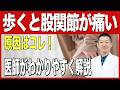 歩くと股関節痛む？その原因や対処法を徹底解説