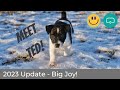 New puppy and 2023 update