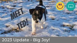 NEW PUPPY! And 2023 Update