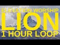 LION - 1 Hour Loop