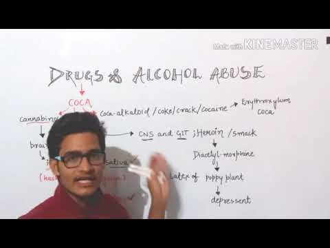 Awesome video on Drugs and Alcohol abuse/Must watch video.