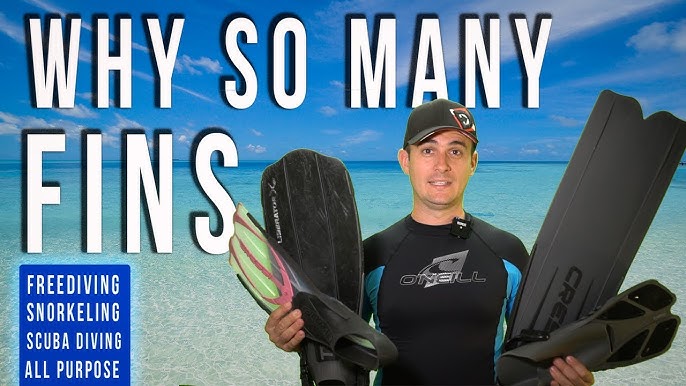 Fins for Freediving  Everything you Need to Buy the Best Fins for You! 