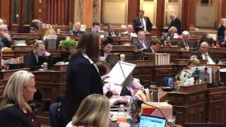 Iowa Rep. Lindsay James discusses child care bill amendment