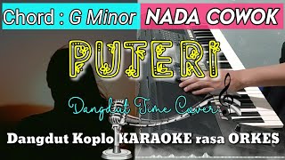 PUTERI - Iklim | Versi Dangdut Koplo KARAOKE rasa ORKES || Nada Cowok