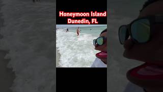 Honeymoon Island Dunedin Florida Walking Tour | Best Florida Beach for all Ages screenshot 5
