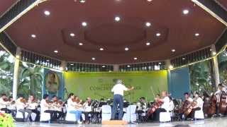 เพลงพระราชนิพนธ์ แว่ว (HM The King composition Echo) - Bangkok Symphony Orchestra