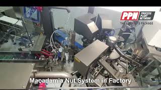 Macadamia Nut System in Factory