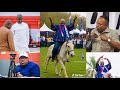 Great The 2 Horses Kennedy Agyapong Is Operating With His Guardian Angel And Spiritual Direction Great The 2 Horses Kennedy Agyapong Is Operating With His Guardian Angel And Spiritual Direction