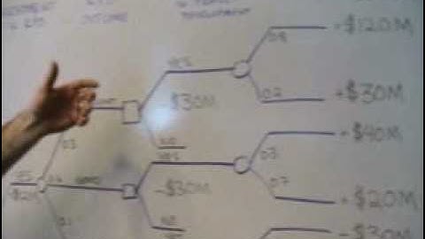 Real Options Analysis - Crazy