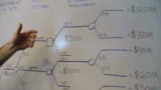 Real Options Analysis - Crazy