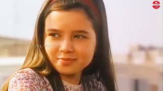 Little Bird (1997) Full Movie Explained In Hindi/Urdu|Summarized In हिन्दी / Fantasy Movie