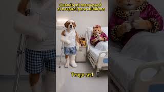 El amor es... cuidar a tu novia aunque estés peor que ella 🐶💔 #humorlatino #humor #perros