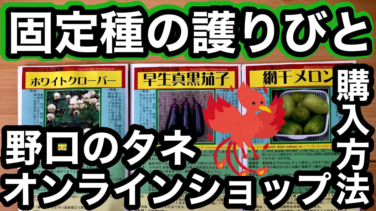 伝統野菜 固定種】の品揃えと情報量ならここ！野口種苗オンライン