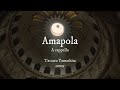 Amapola  ...... A Cappella  Tatsuro Yamashita   cover