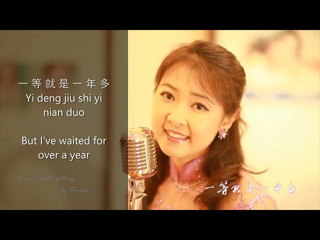你怎么说 Ni zen me shuo,, singer  陳佳 Chen Jia, with Pinyin and English sub title class=