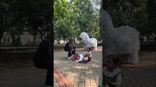 kedok Alika dicuri kak Novi buat kasih makan Can macanan
