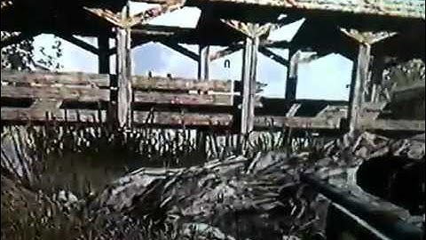 No scope across overgrown Cod 4